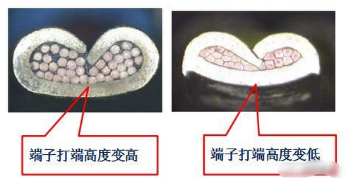 欧亿平台·(中国区)官方网站